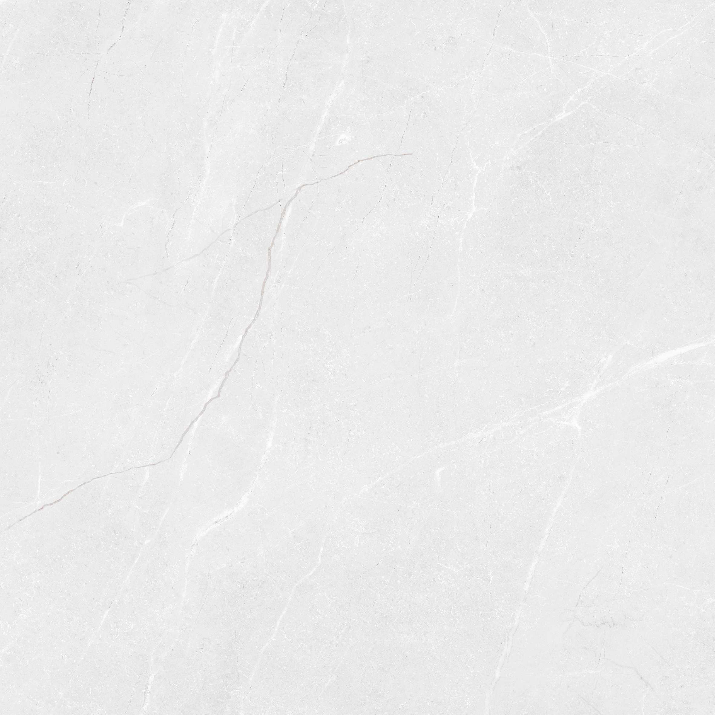 Vibrant Bianco Carving 60x60 BELLEZA фото 8