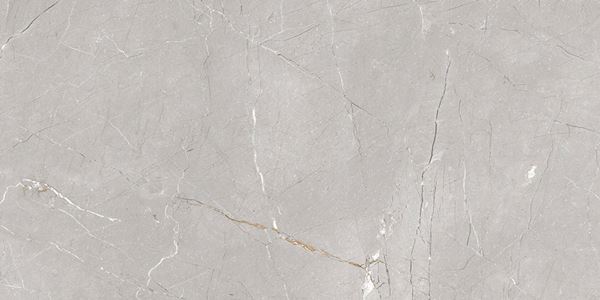 Larice Grey 60x120 Gravita