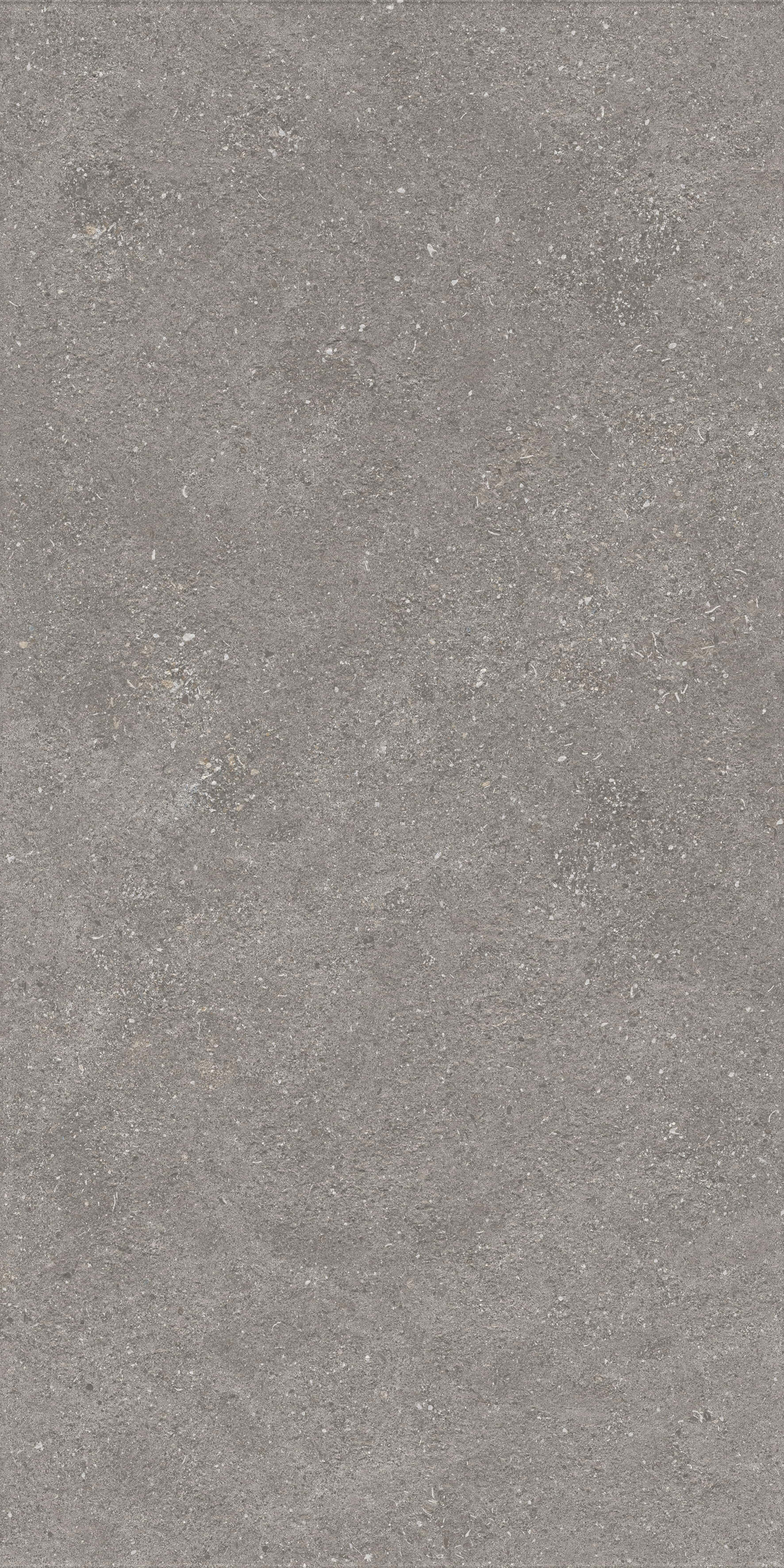 1224 Graniti Grey Matt Ghr 120x60 Artcer фото 3