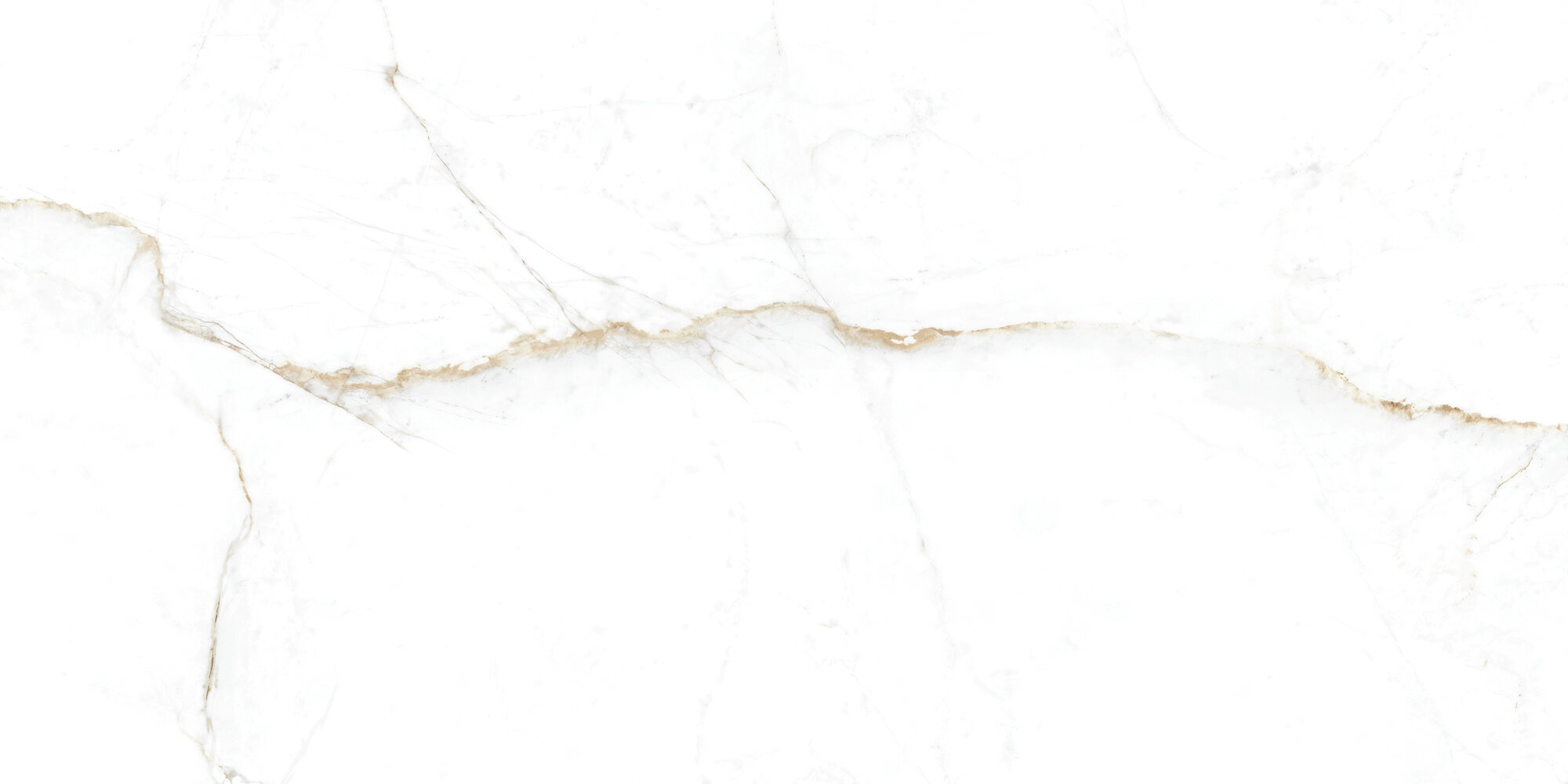 31741 Dual White EP 60x120 Peronda фото 11