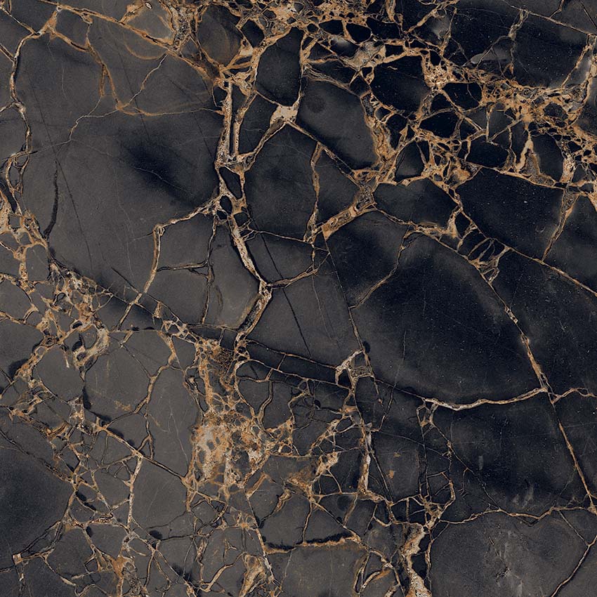 GR101 Golden Black High glossy 600x600 PrimaVera