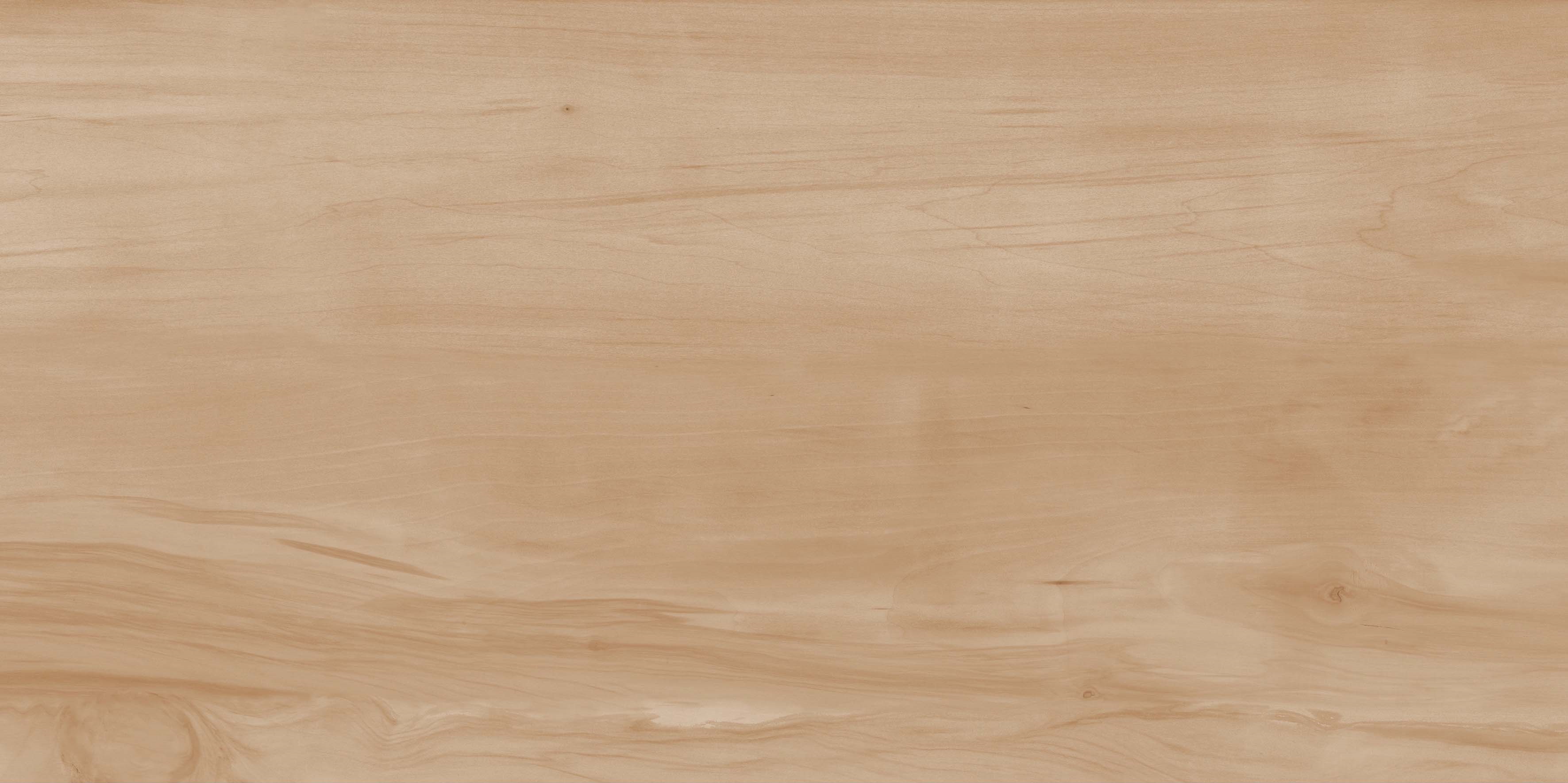Paint Wood Bone Gloss 60x120 Realistik