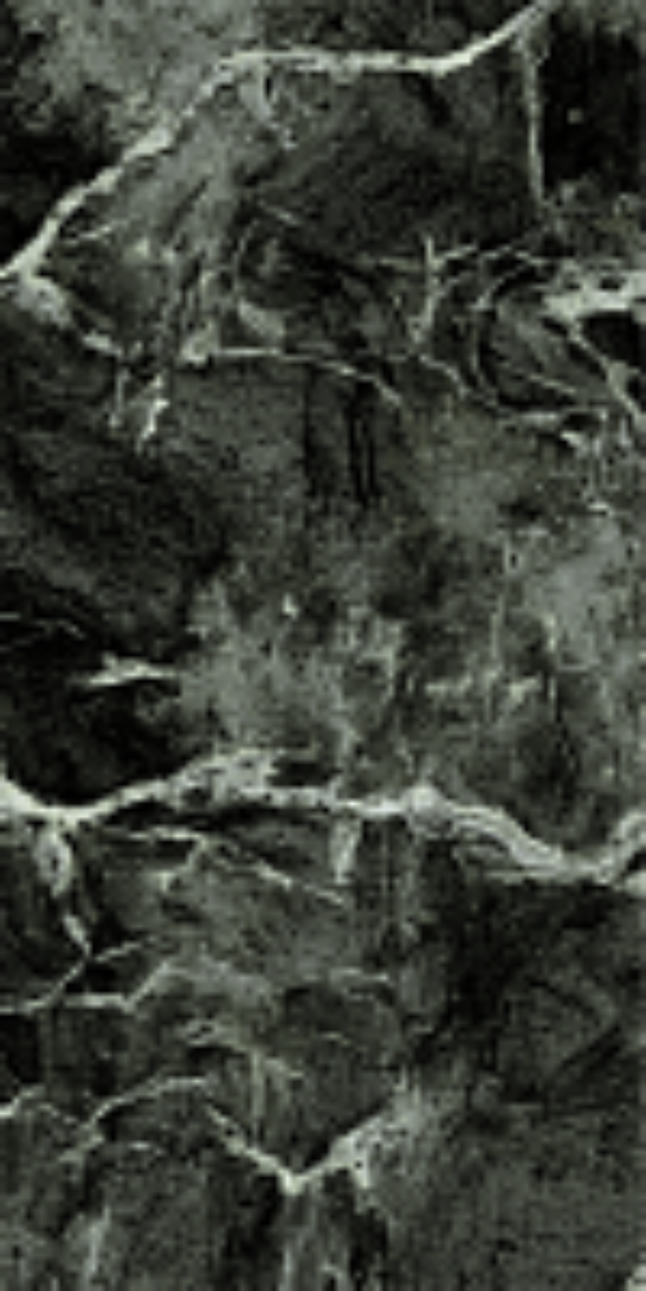 610015000710 Magma Alpi Green Cer Ret 80x160 Italon фото 6