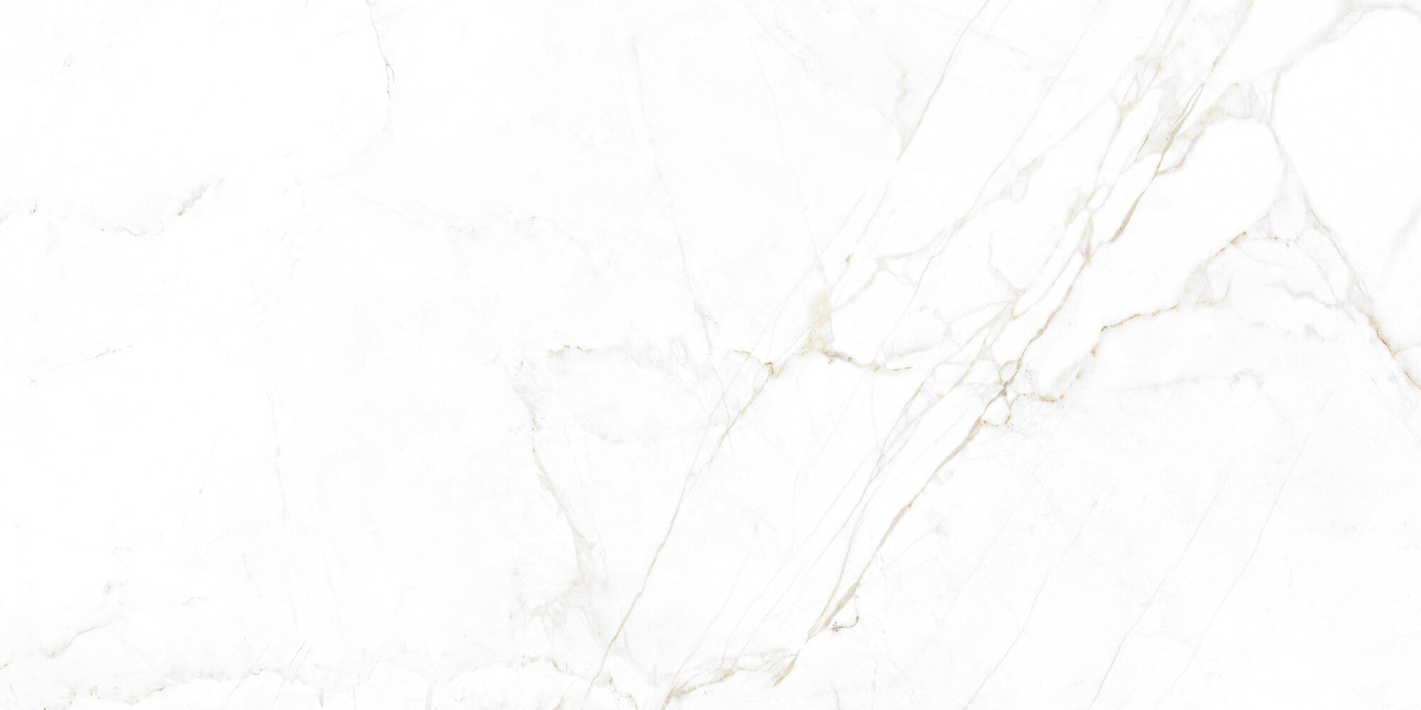 31741 Dual White EP 60x120 Peronda фото 3