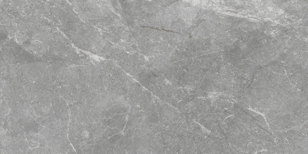 Rocky Grey PRO серый матовый R10GR STR CB 60х120 Laparet