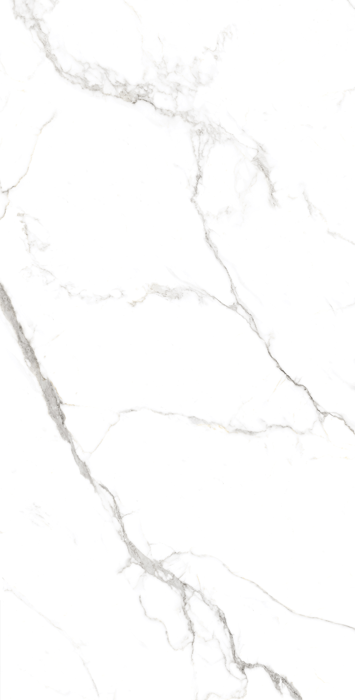 FP1039-A Statuario Fine Full Polished 60x120 Arcadia Ceramica