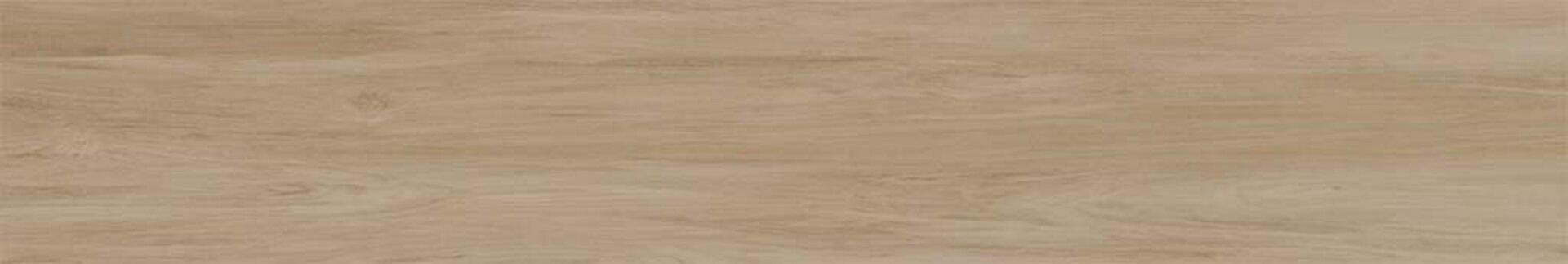 Alessandria Arce 19.5x120x0.9 Prissmacer фото 18