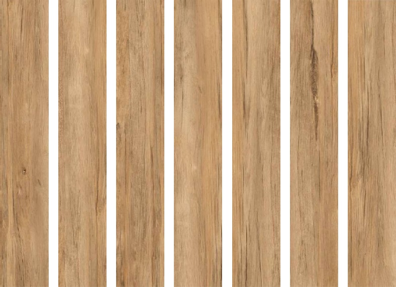 Elmi Wood Walnut Matt 20х120 SotGres