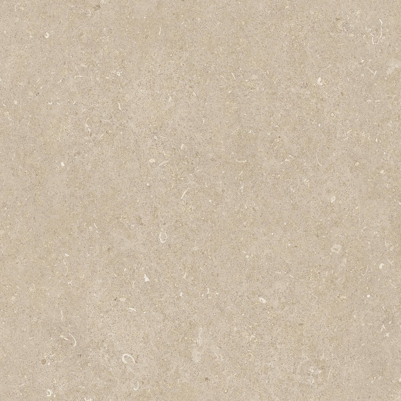 785485 Rinascenza Arena Conchiglia Matte 60x60 Casa Dolce Casa фото 5