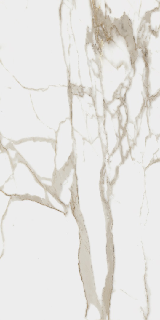 610010001411 Charme Evo Calacatta Nat Rett 60x120 Italon
