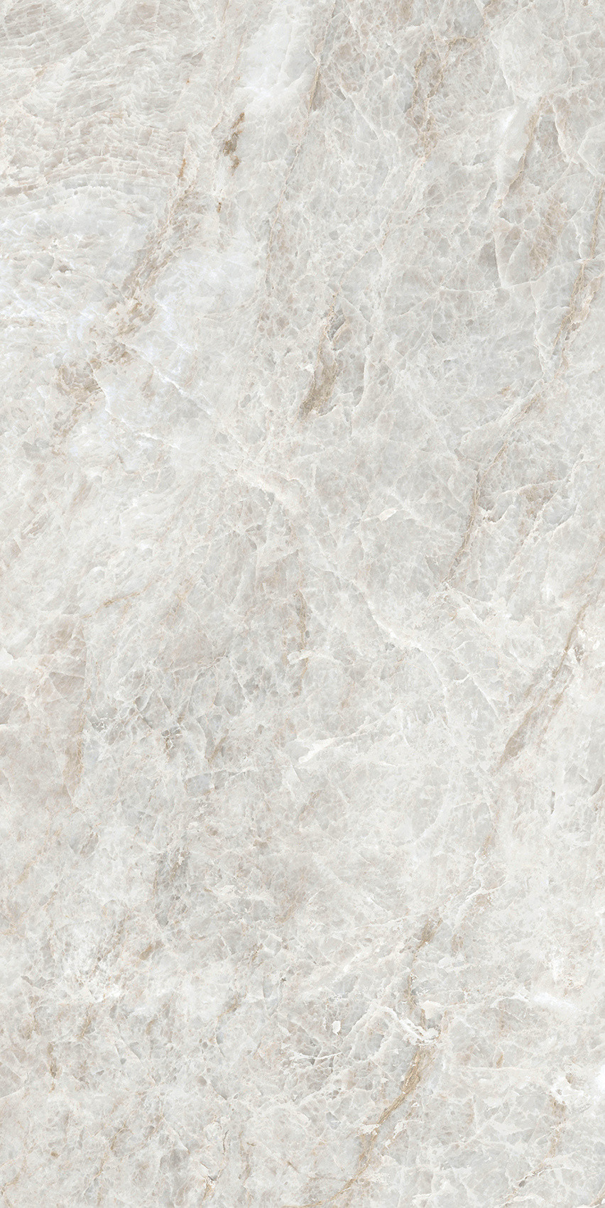 784553 Iconic Life Rice Yamuna Glossy 30x60 Cerim фото 15