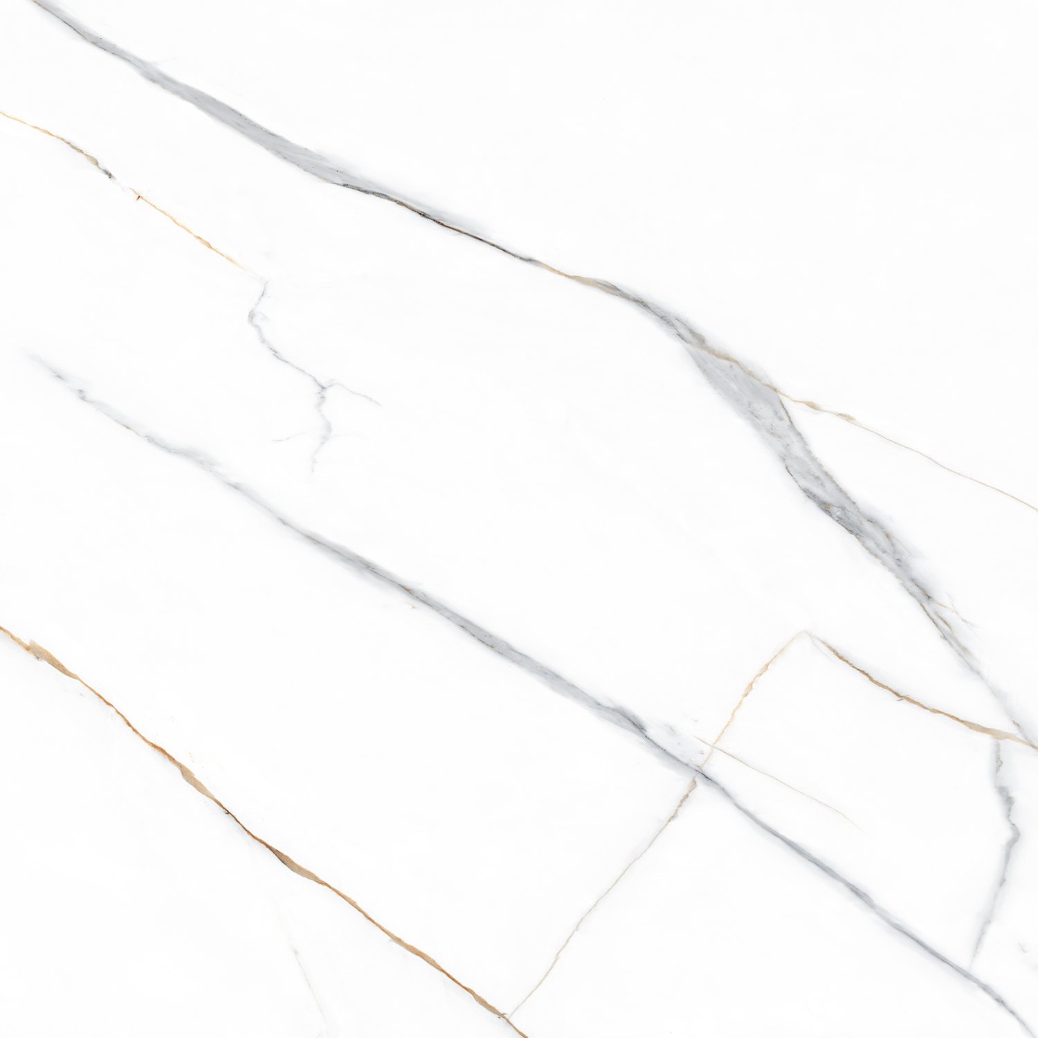 Statuario Gold PGVT 60x60 Casati Ceramica