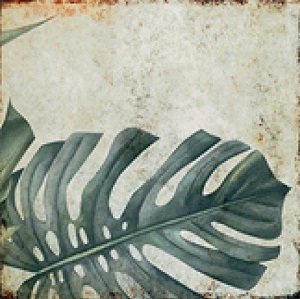 TR3333 Tropic 33х33 Serapool