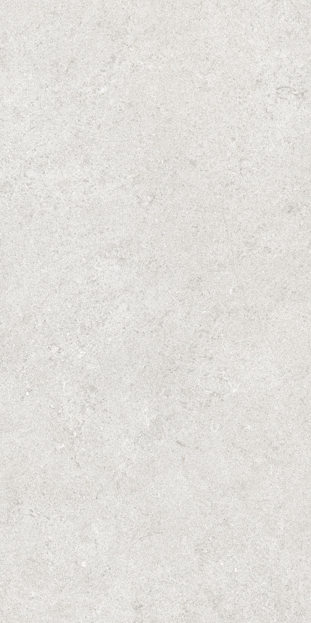 36904 Cluny Silver 4D/50X100X2/A/R 50x100 Peronda фото 7