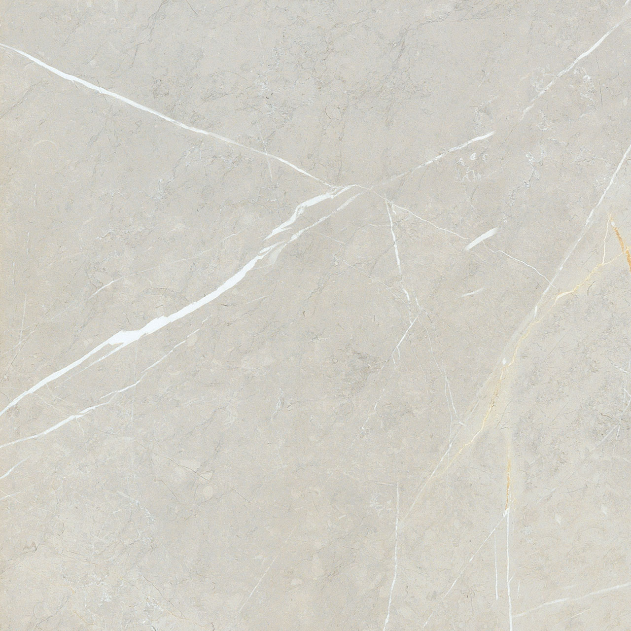 BB6NTT9101P Bright And Shiny 60x60 NT Ceramic