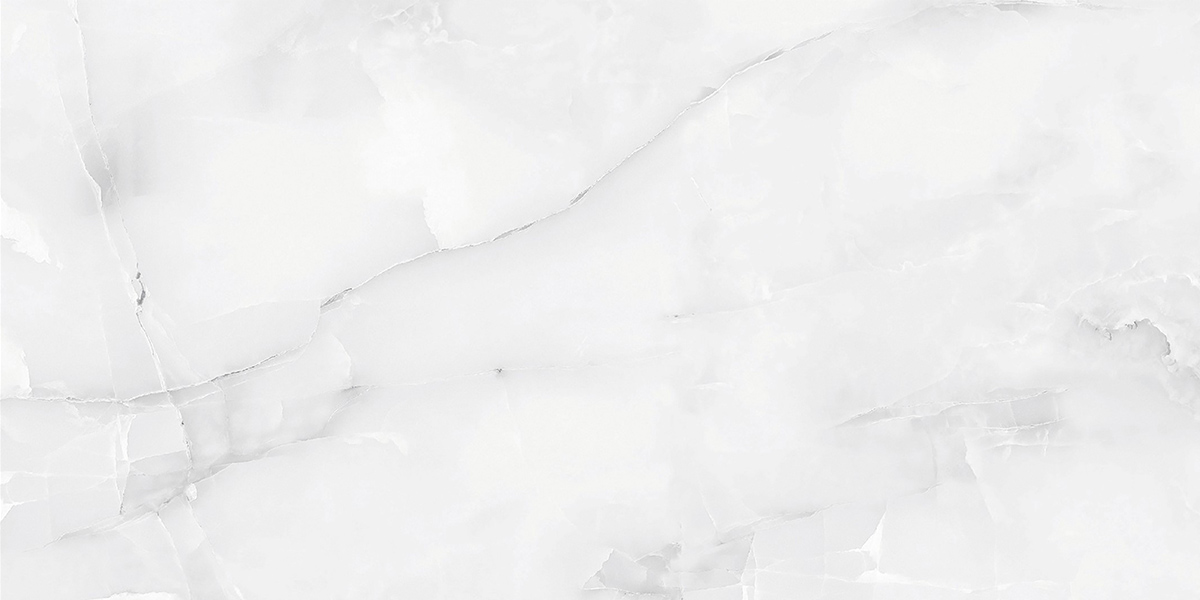 AB 1182G Snow Onix Grey Gloss 1200x600 Absolut Gres
