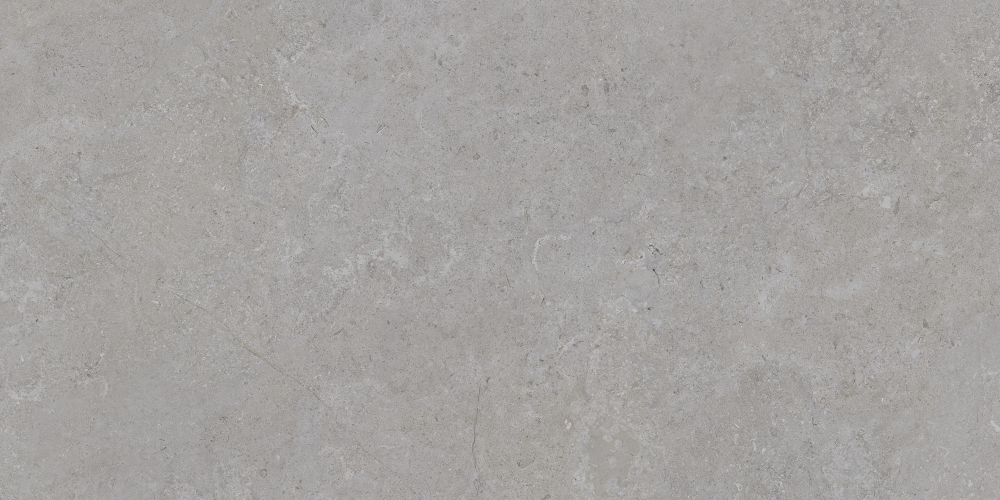 Dorset Silver Rec. 60x120 TAU Ceramica фото 2