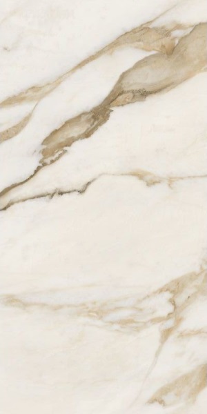 67582 Calac Br Luxr 60x120 Versace (Gardenia Orchidea)
