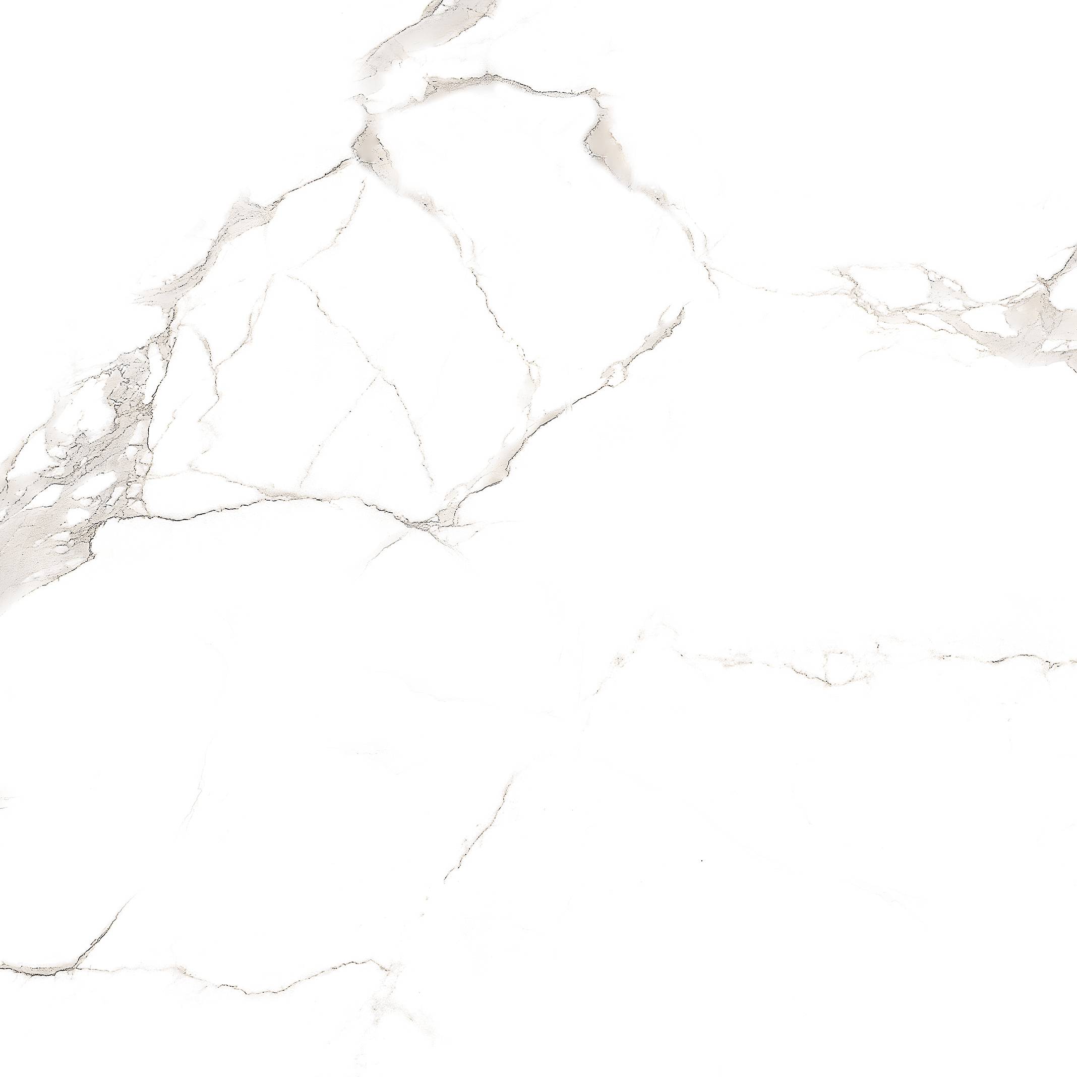 Carrara White 60х60 SotGres