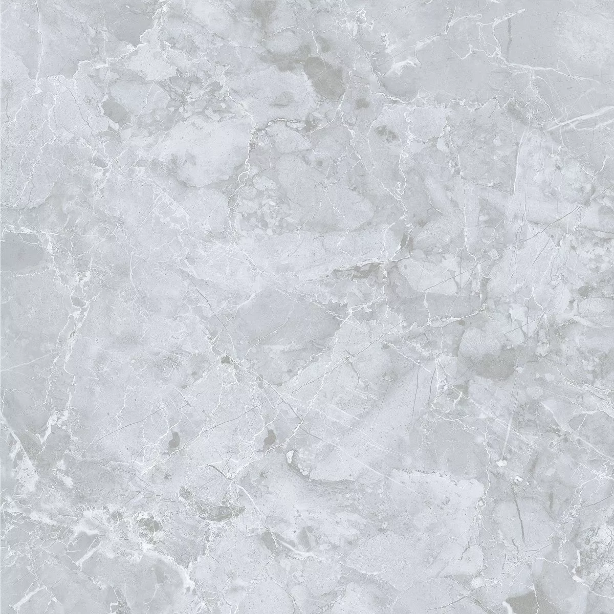 E-3019/MR Genio Серый ректификат 600x600x9 Dako