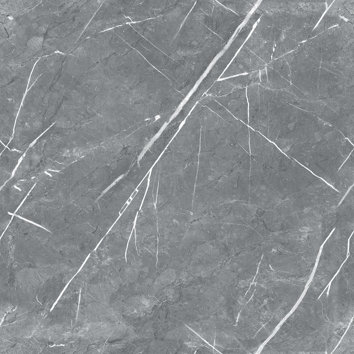 R_PR1019 Carnico Grey Polished 60x60 Royce