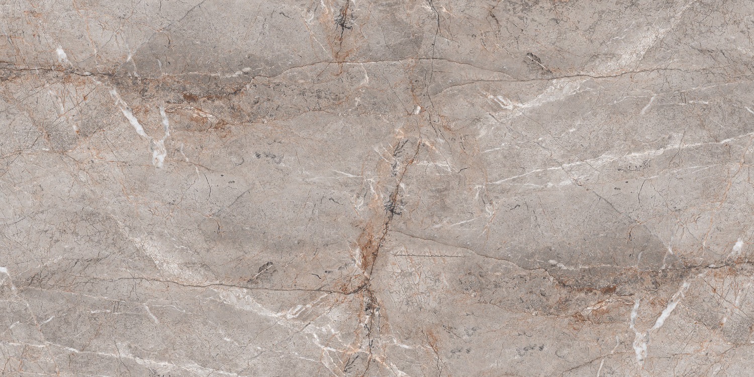 S4431M Lester Grey Mat 60x120 Buono Ceramica фото 4