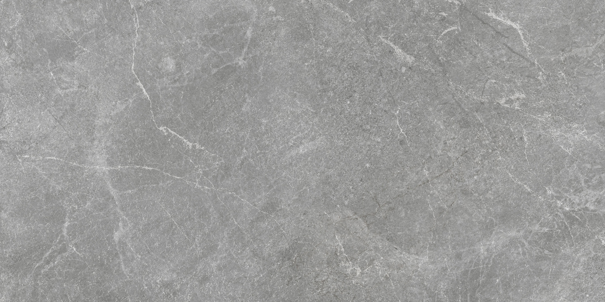 Rocky Grey PRO серый матовый R10GR STR CB 60х120 Laparet