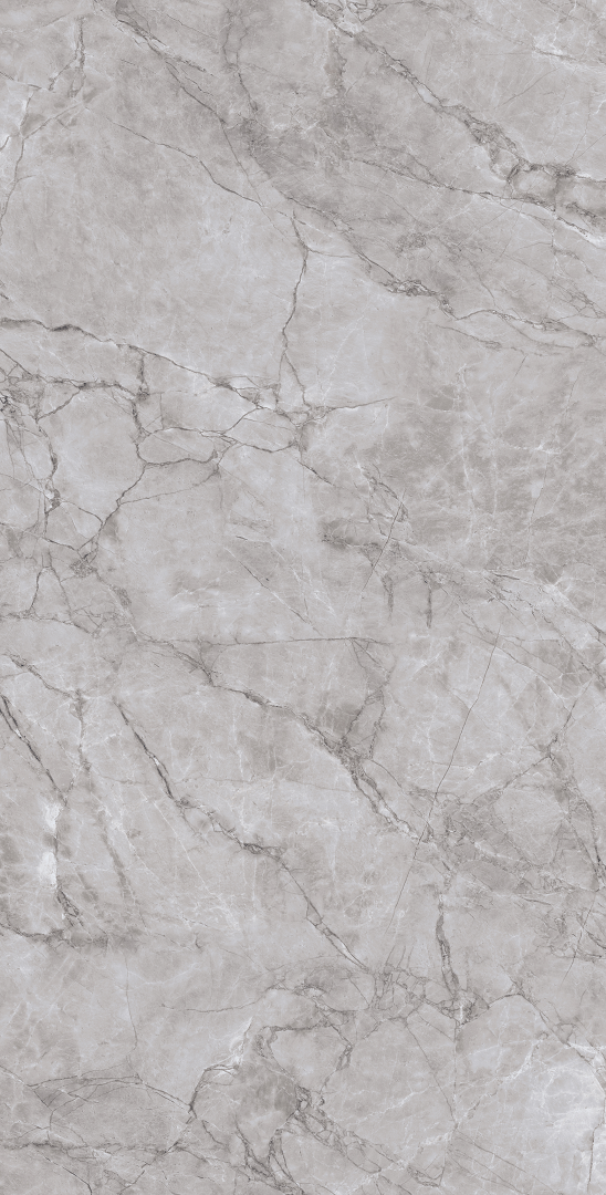 CR4012-A Arctic Grey Carving 60x120 Arcadia Ceramica