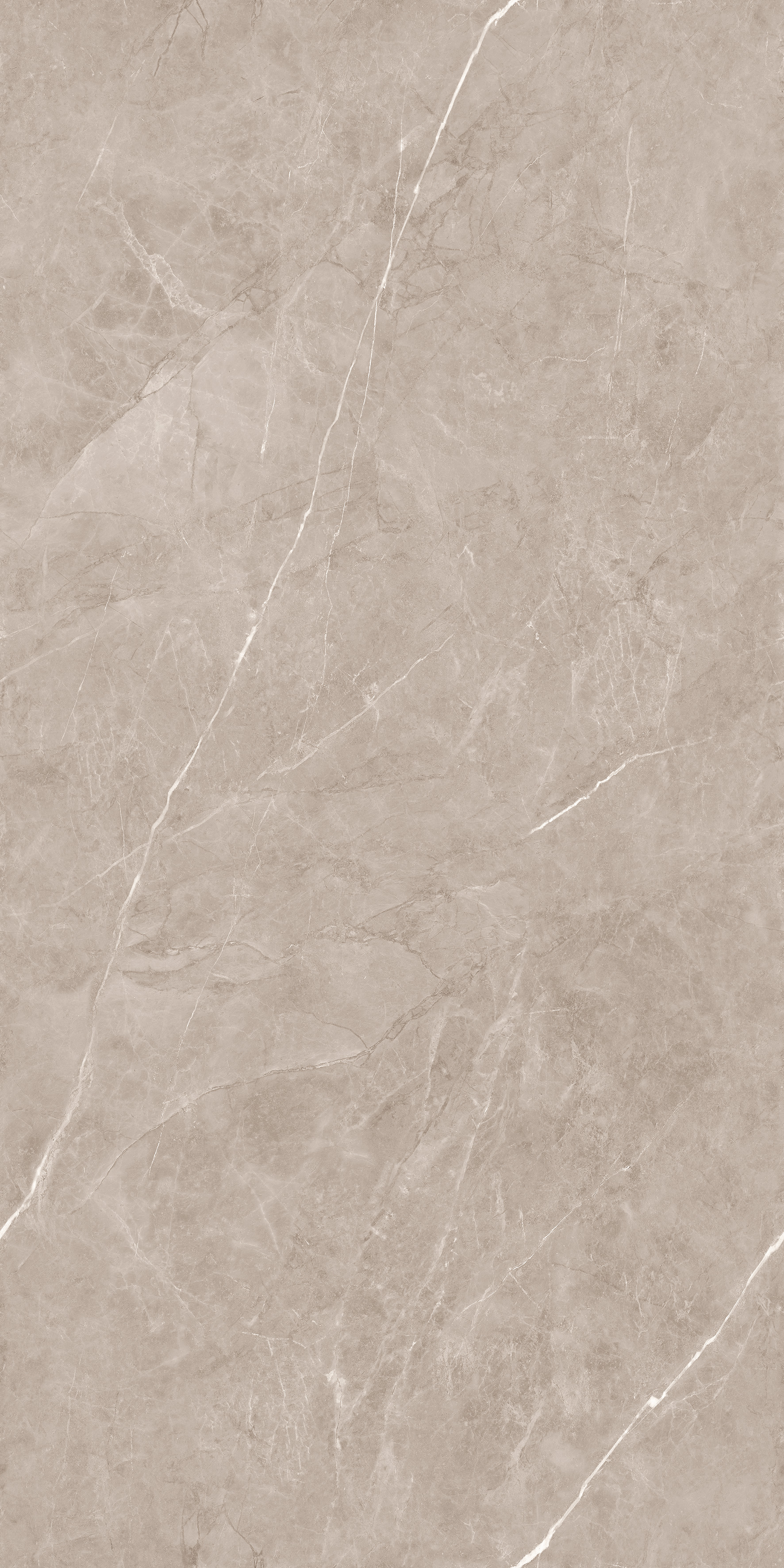Flurry Taupe Carving 60x120 Duna фото 4