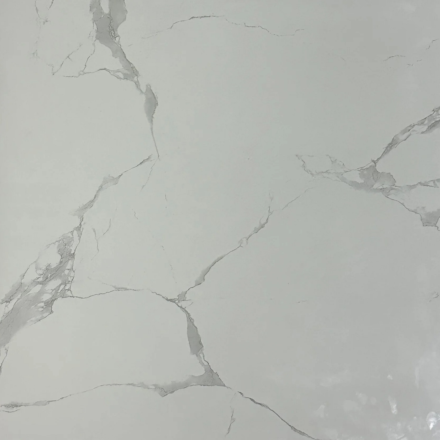 MT99125 полированная 80x80 CSG
