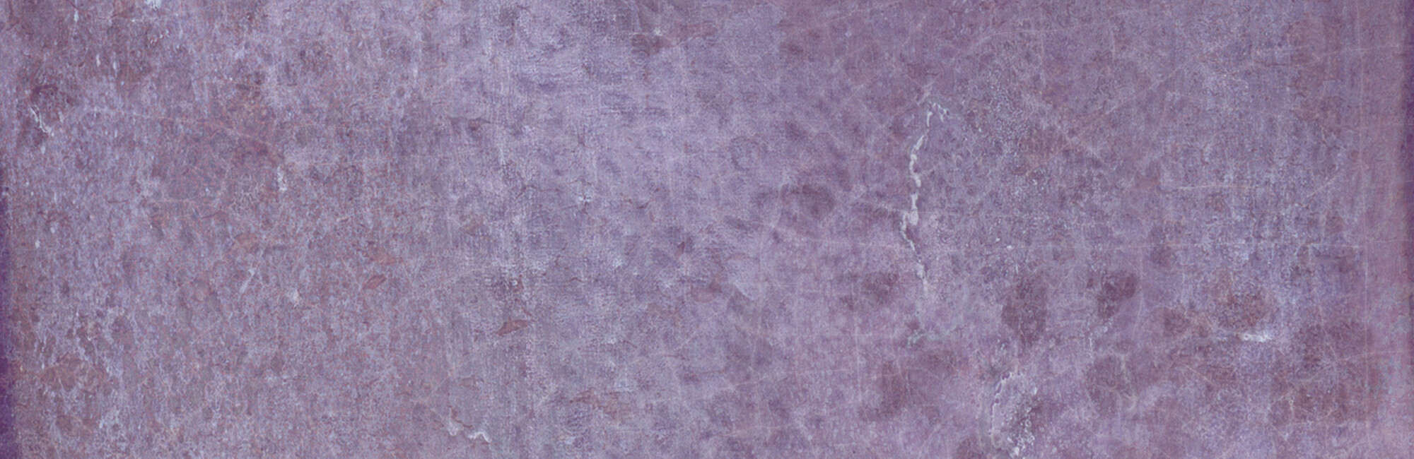 29015 Dyroy Aubergine 6.5x20 Peronda фото 5