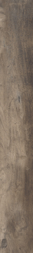 J87749 Aspen Brown 15x100 RHS (Rondine) Ceramiche