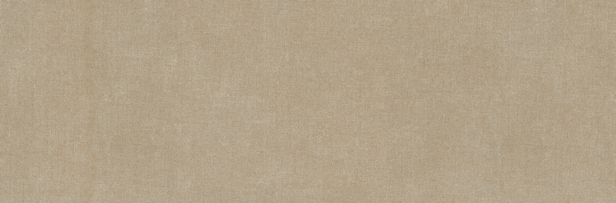 Elan Taupe 33.3*100 Baldocer