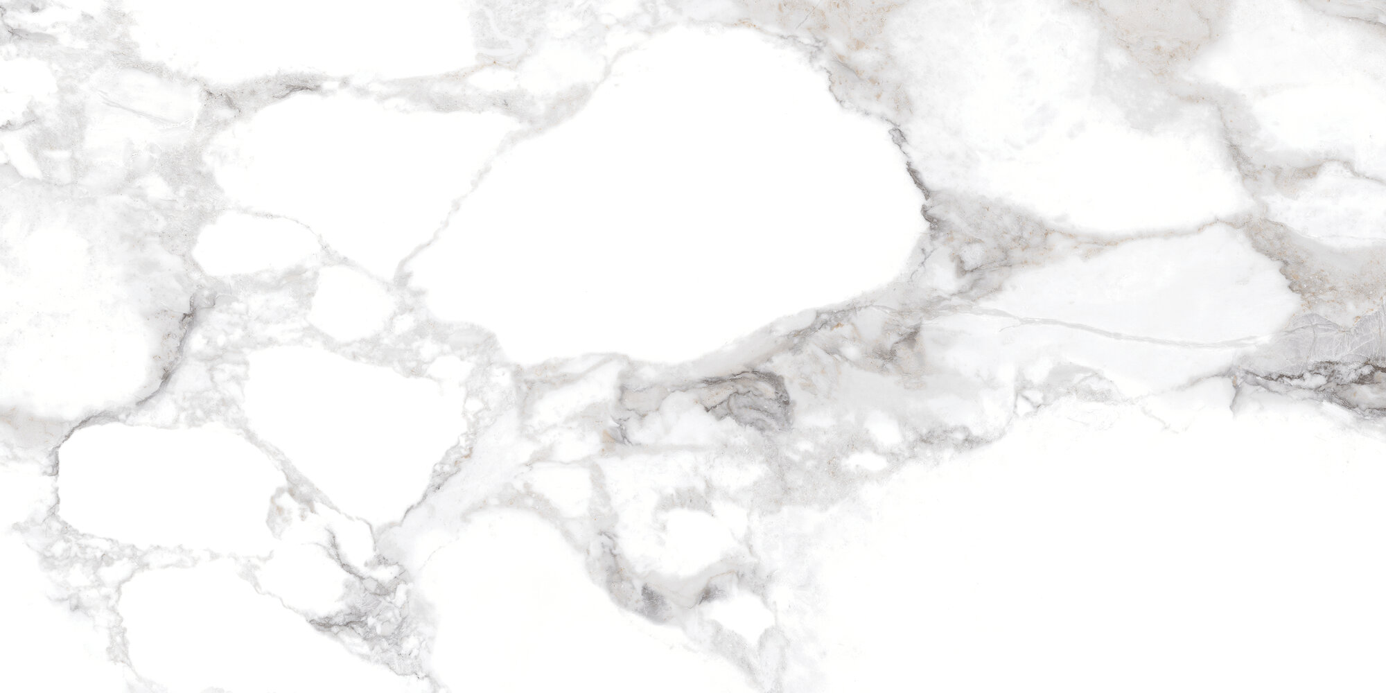 31001 HAUTE WHITE SP/60X120/R Peronda