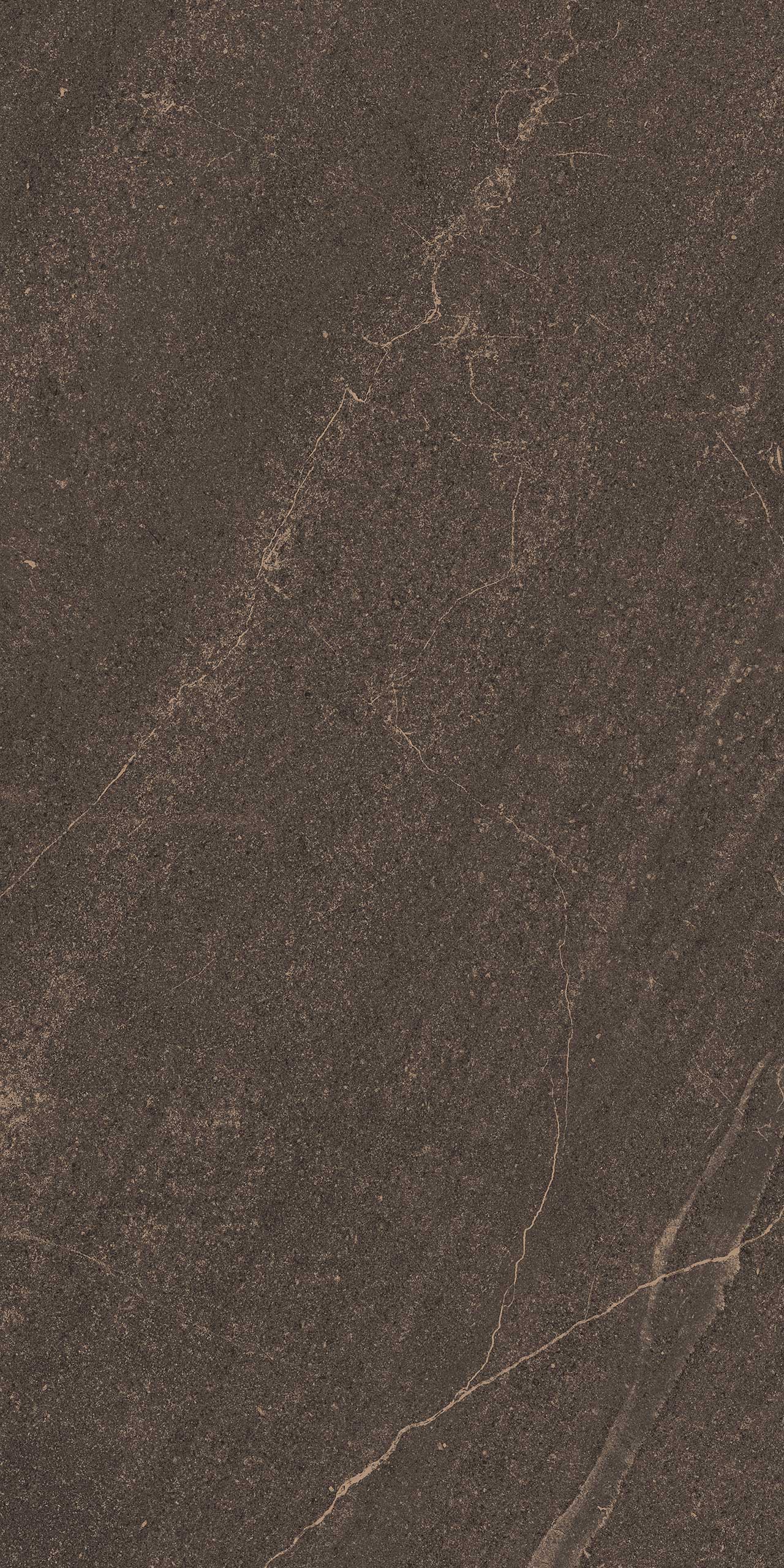 GB04 Gabbro Brown Неполированный Рект. 80х160х10 Estima фото 6