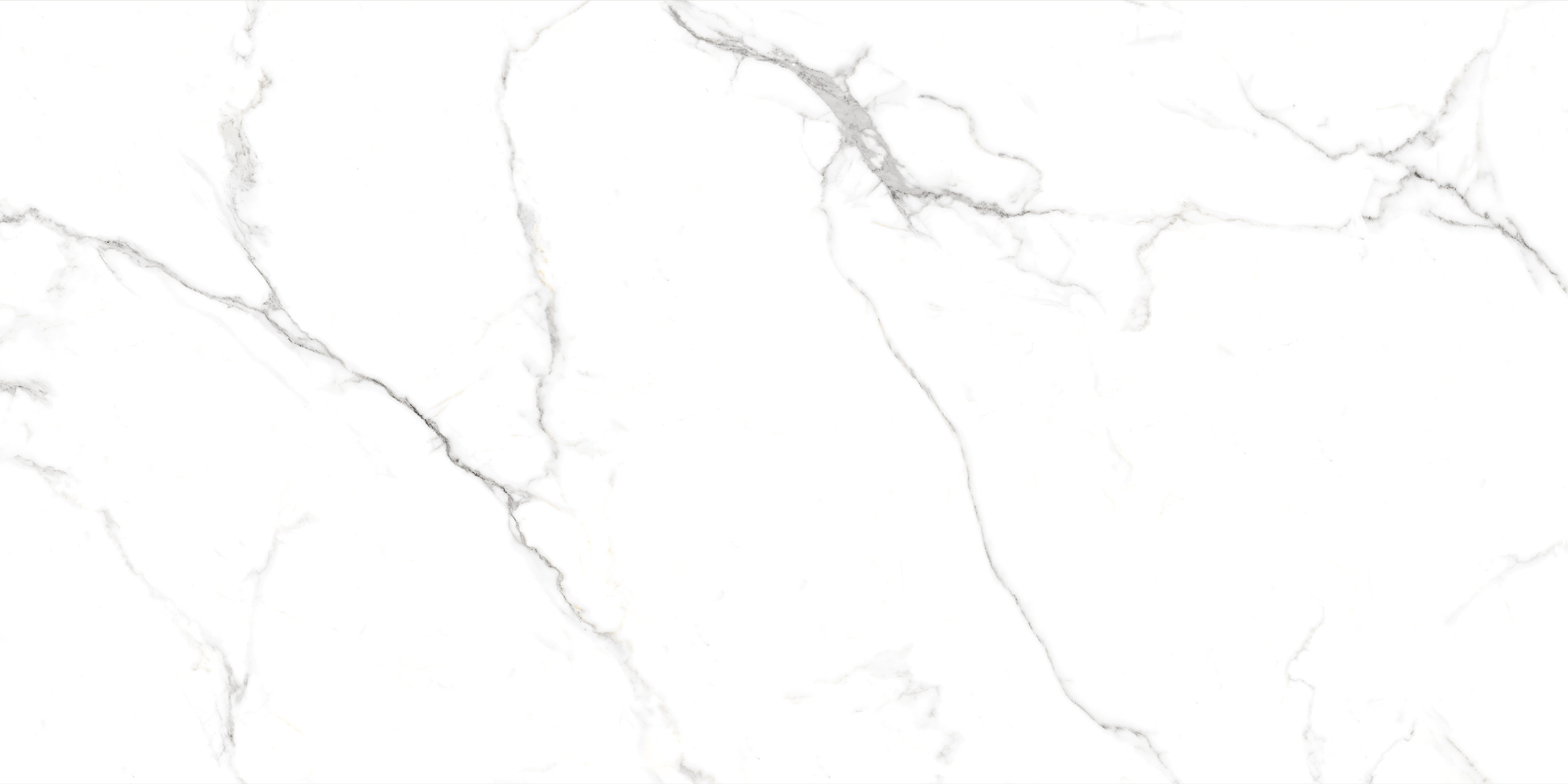 Сlassic Statuario Matt 60x120 Casati Ceramica