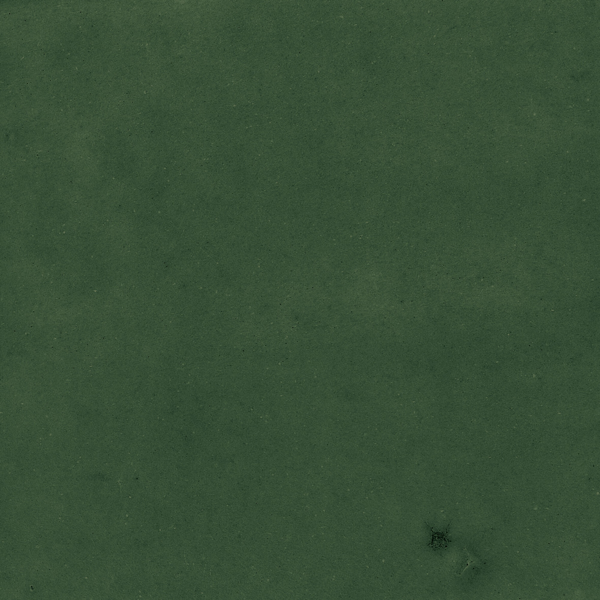 43289 Samira Green 10x10 Harmony фото 17
