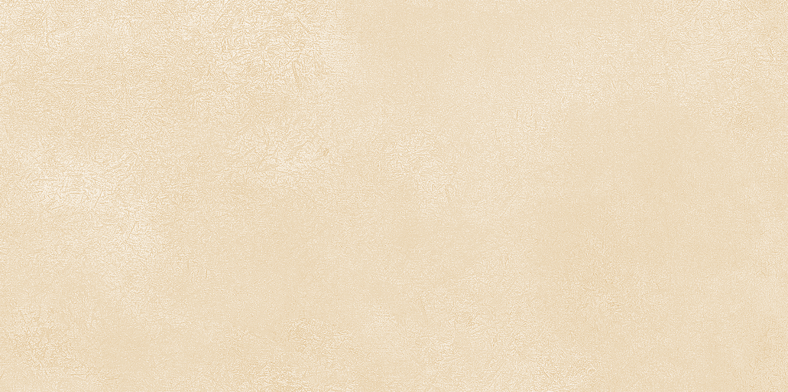 WT9PET11 Petra Beige 24.9х50 AltaCera