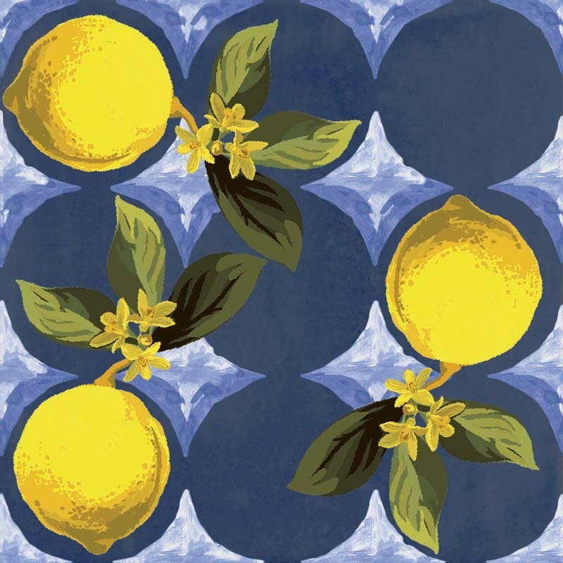 Giardino Blu Mix Luc 20x20 Sant Agostino