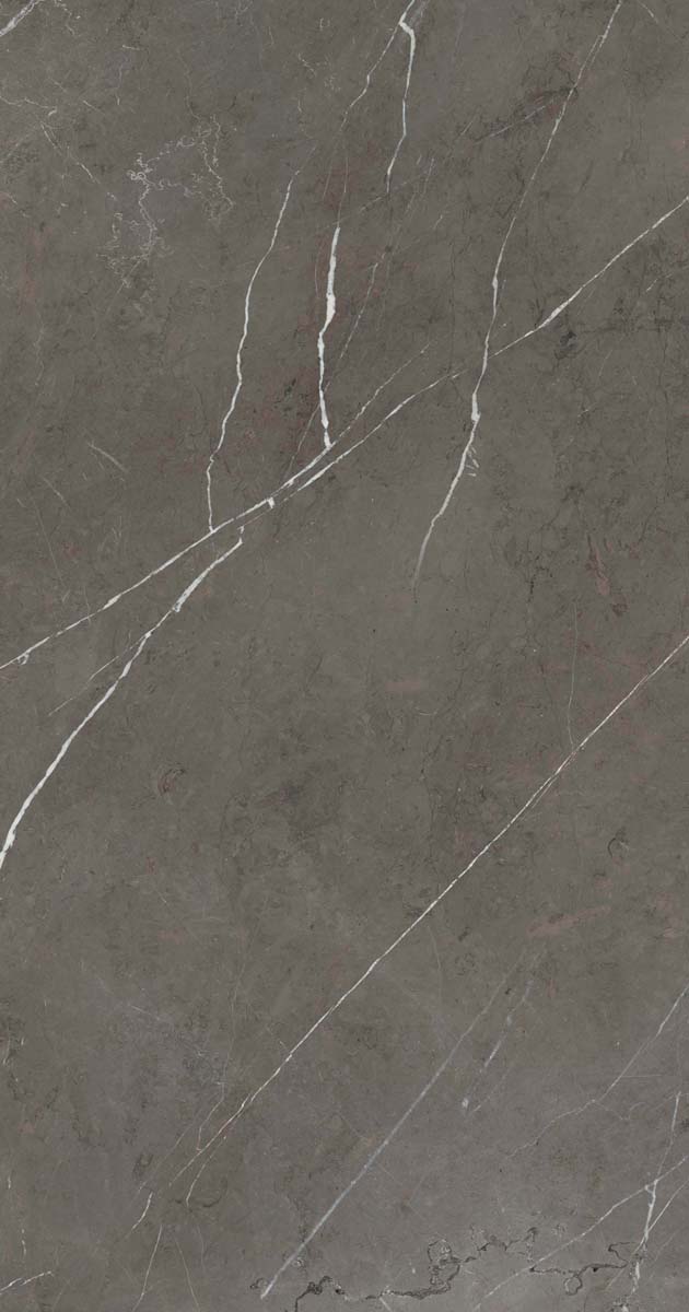 PF60006313 Stone Grey Lux R 60x120 ABK фото 8