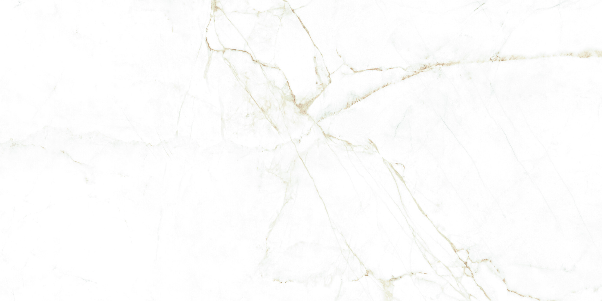 38712 Dual White NT/60X120X0,9/C/R 60x120 Peronda фото 18