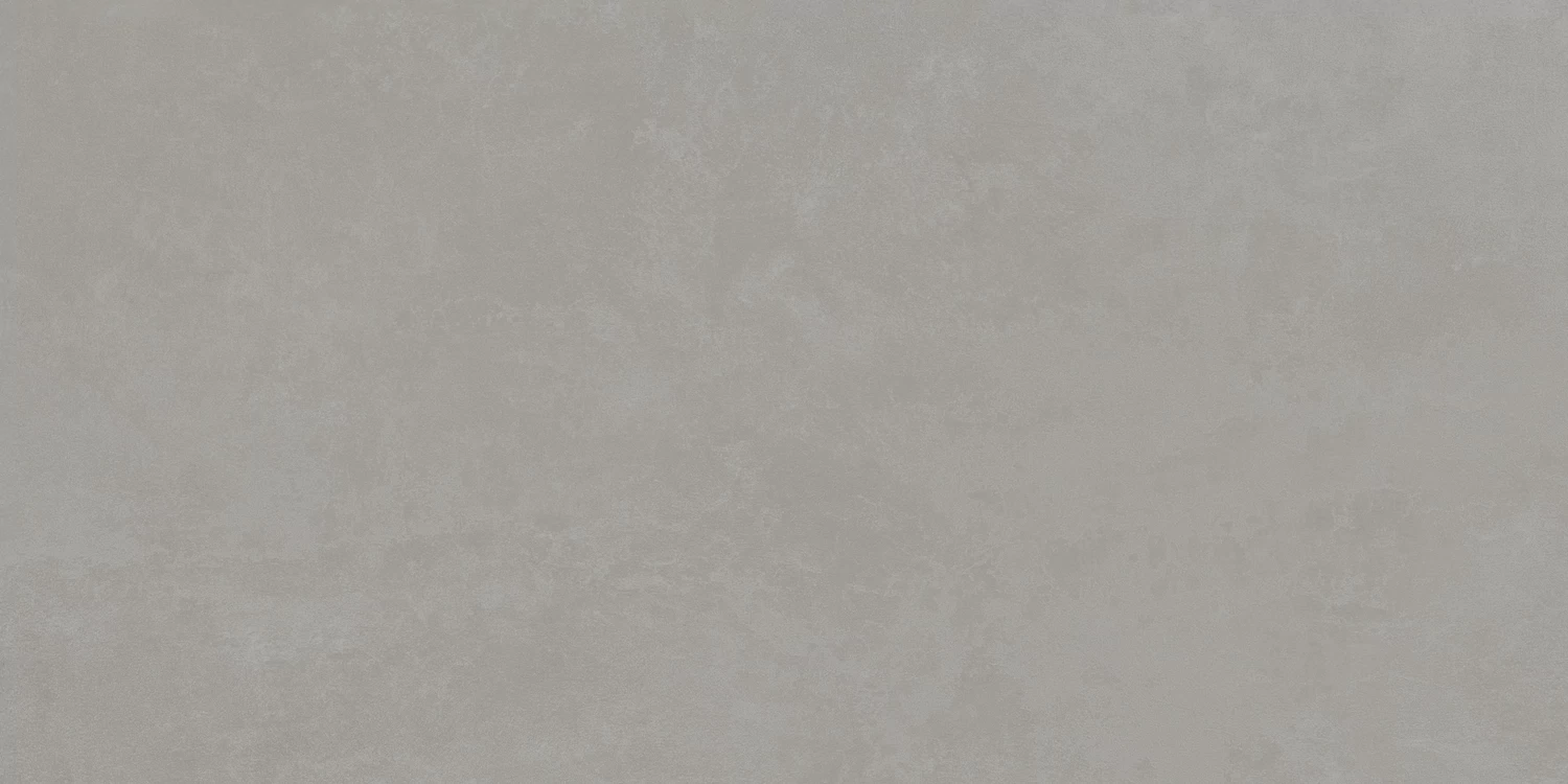 610010002649 Rinascente Grey Rect R9 60x120 Atlas Concorde Russia
