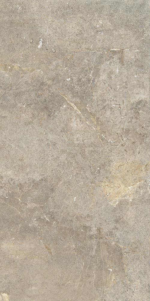 10893241 Everbrown Rett (P) 60х120 Cercom