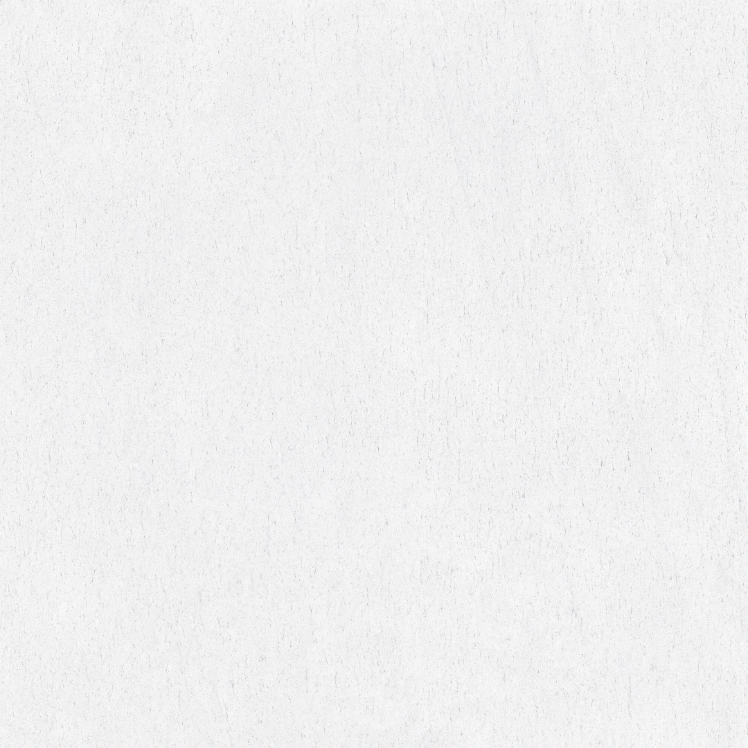 25390 Mystic White BH AJ/100X100/A/R 100x100 Peronda фото 10