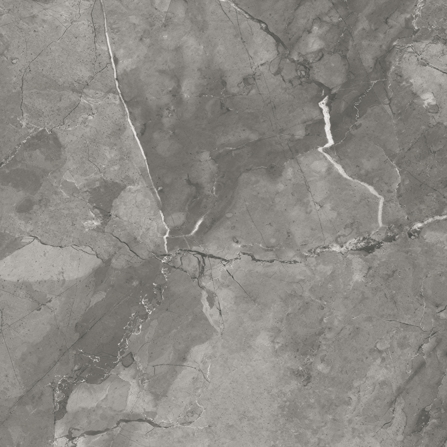 CR6020-A Bismanto Grey Carving 60x60 Arcadia Ceramica фото 7