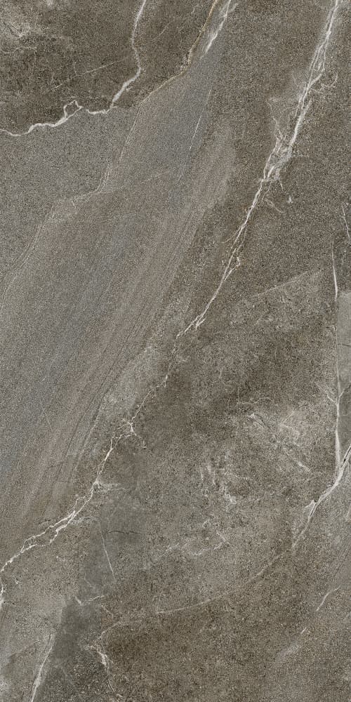 6493-0146 Гроза бежево-коричневый 60х120 Lasselsberger фото 10