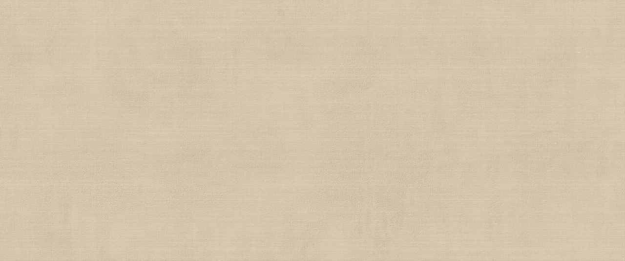 HCDR Vest Ecru Matt 50x120 Atlas Concorde фото 3