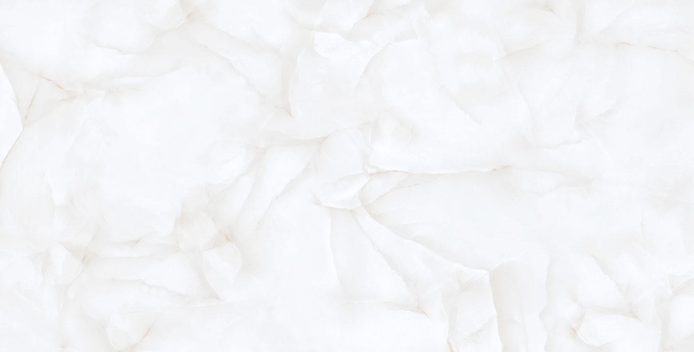 Brais White Carving 60x120 Realistik