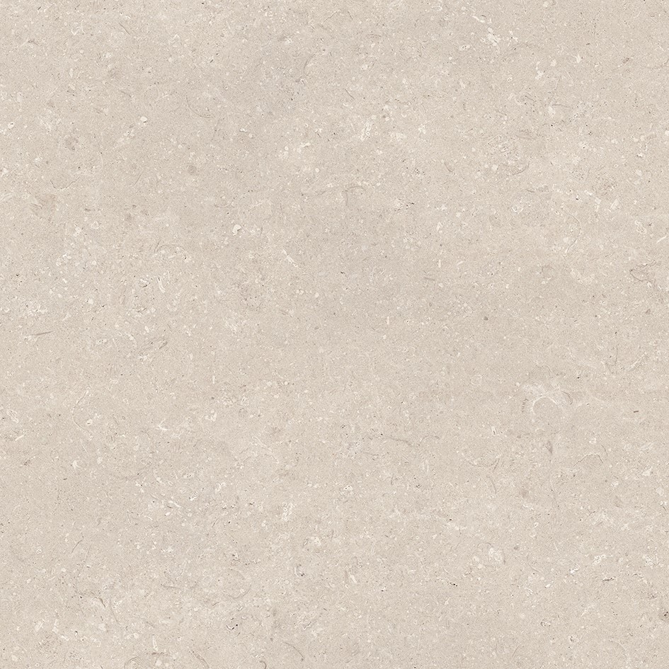 100330177 Coral Caliza L 80x80 Porcelanosa фото 6