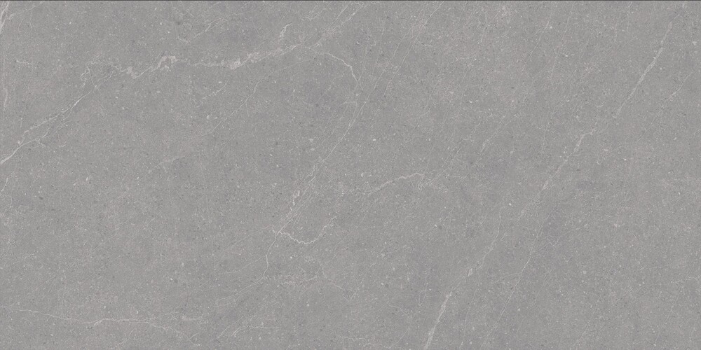Elenta Grey Carving 60x120 Duna